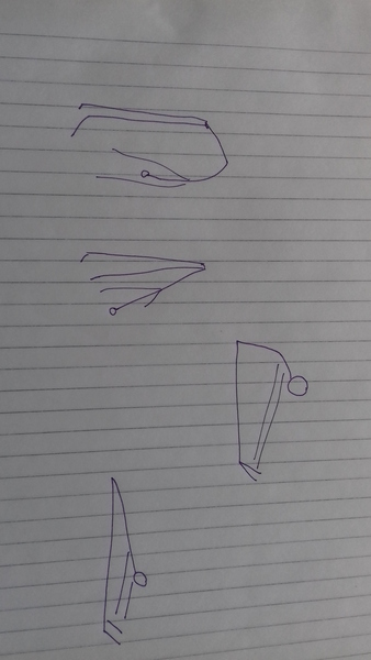 Inflexible lower back- with (bad) diagrams :-)