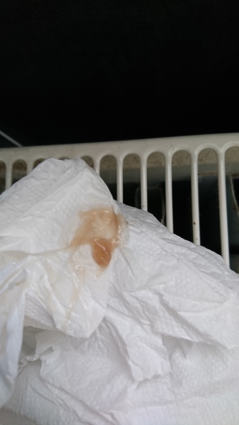 *sensitive image * anyone know what this is?
