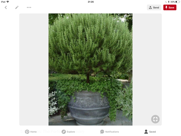 Huge Garden Pots
