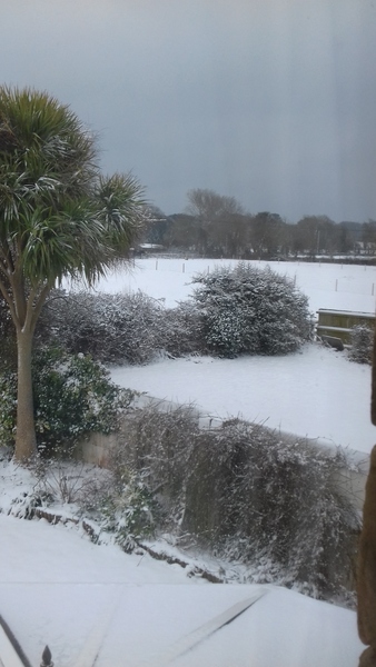 March Frugaleers continued. In which we report spends, share money saving advice, chat about pretty much everything and post pet pics.