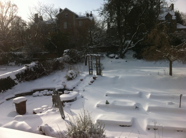 Snow - never seen anything like it