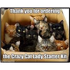 19 cats. Anyone else got this many?