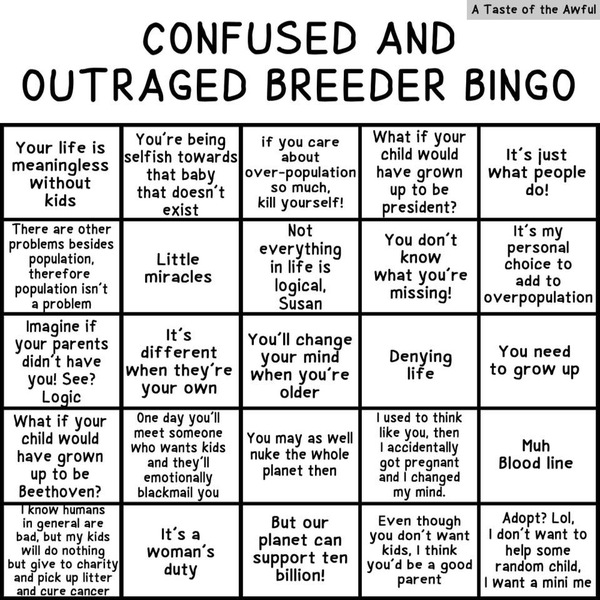 To find the term 'child free' annoying?