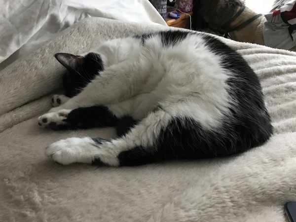 Harry's Results