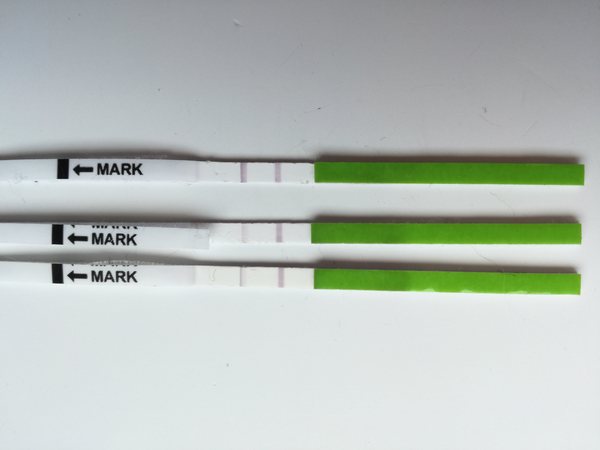 Opk as Hpt?