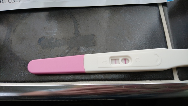 Is this ovulation test positive yet?