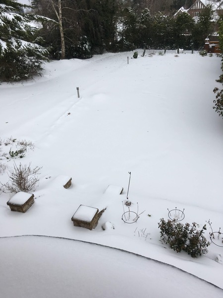 Snow watch part 4 - March is supposed to be spring right?