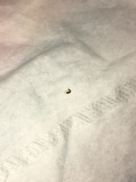 Look what I pulled out of DH’s face last night!