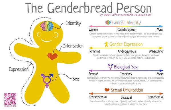 Am I alone in wondering where the WOMEN wanting to trans are?