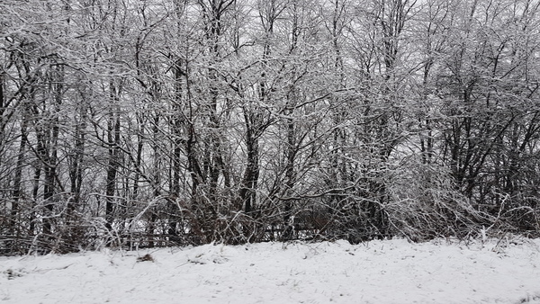 Snow watch part 6 (!) / Easter 2018