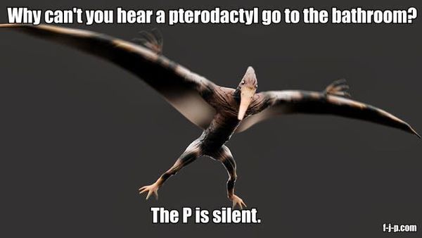 I really don’t think dinosaurs were properly real and I’m not sure that the earth is proper round