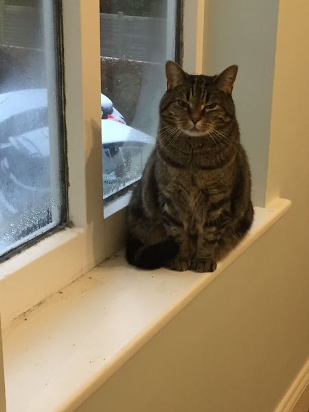 Money Saving Marches on....frugal living, friendly chat, no judgment