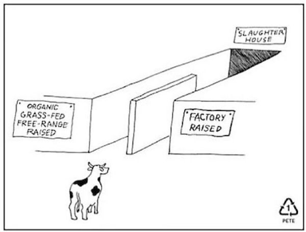 To think if you had to kill the animal yourself you wouldn’t eat meat