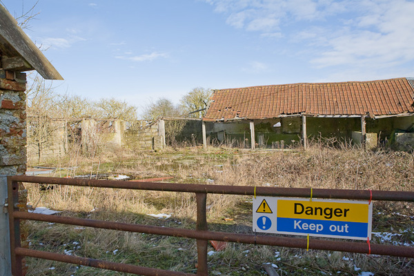 New to Guinea Pigs. What do i need to know?