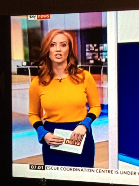 Sarahjane’s dress this morning on sky news (27/3/18)