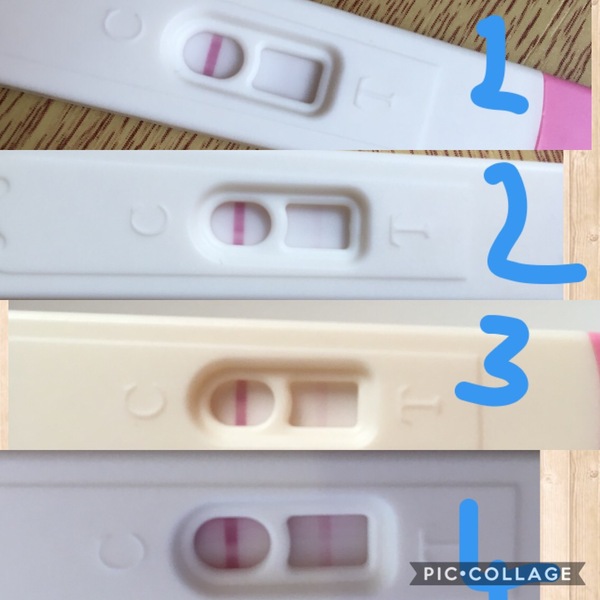 TTC: is this my strongest ovulation day????