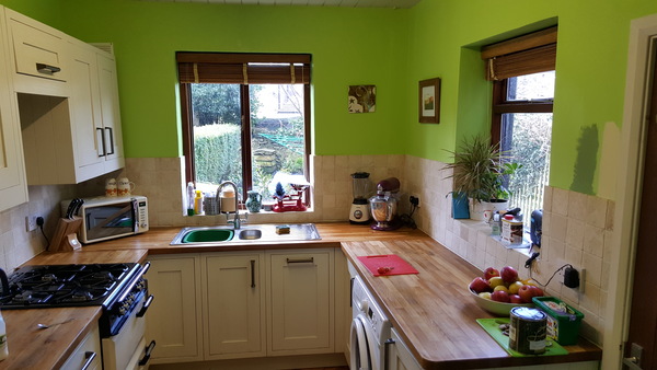 I don't like the colour I've painted the kitchen