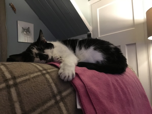 Harry's Results
