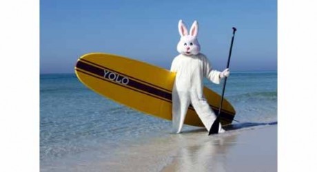 Just Surf, feat Lost and The Small Mercies