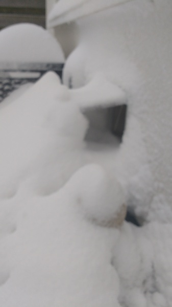 To not let my stupid cats freeze to death (lighthearted)