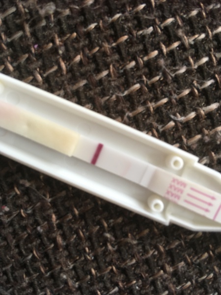 Pregnant or evap line?