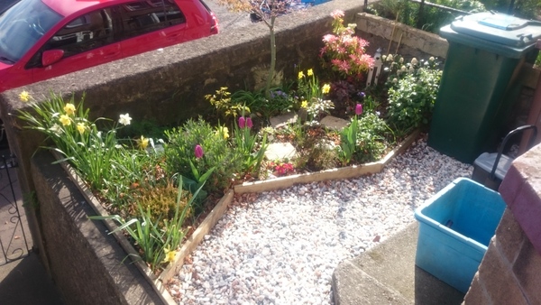 Please show me your small terrace house garden