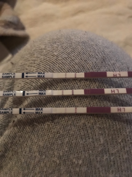 Positive OPK?