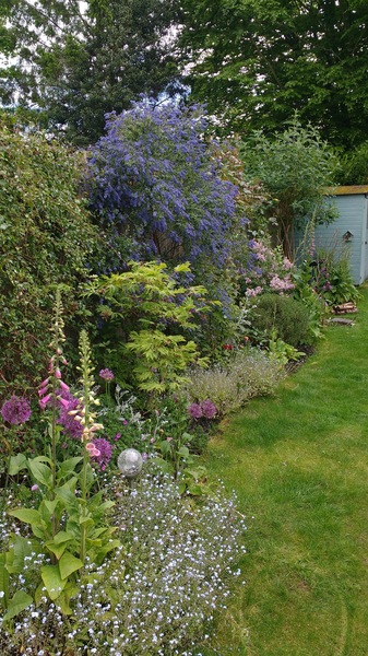 Please show me your small terrace house garden