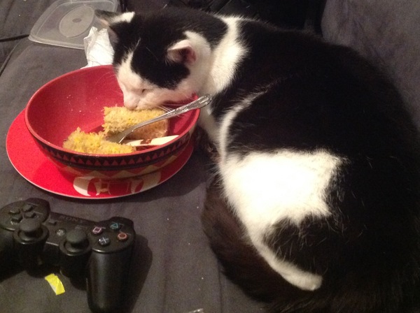 Apparently I shouldn't have a cat because i'm disabled and need to use the PDSA