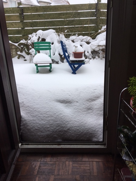 Brave Babes (Hygge) Battle Bus: Snowed in and Drinking Hot Chocolate instead of wine