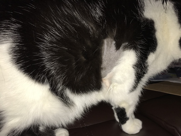 Harry's Results