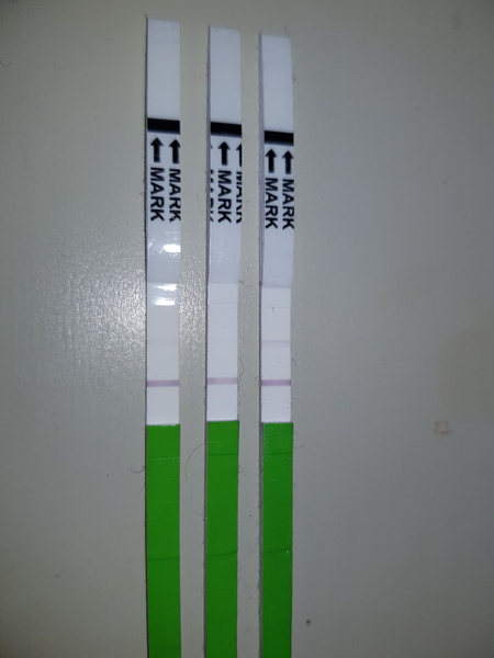 TTC after pregnancy loss. Thread 17. New Year, new hope for all!