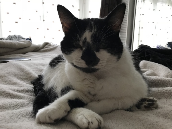 Harry's Results
