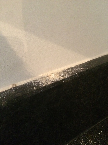 Anyone know anything about possible bug/insect infestation? Pic included