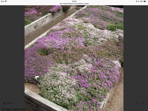 Grass over concrete base.  How?