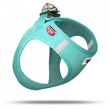 Good lead and harness for puppy?