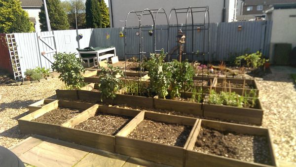 Raised beds - are they worth it?