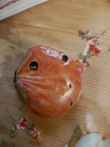 To pick up and hide random stones