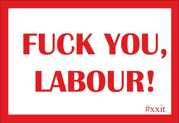 Venice Allan (Dr Radfem) resigns from Labour