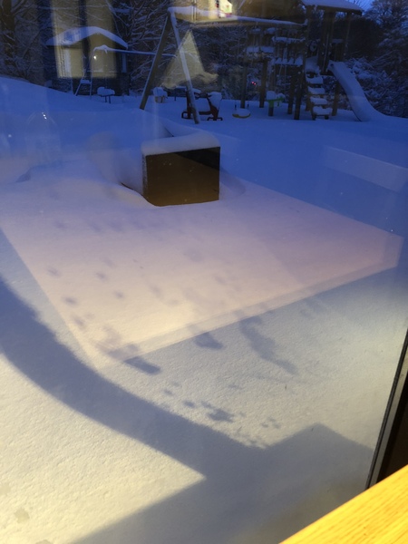 Snow - never seen anything like it