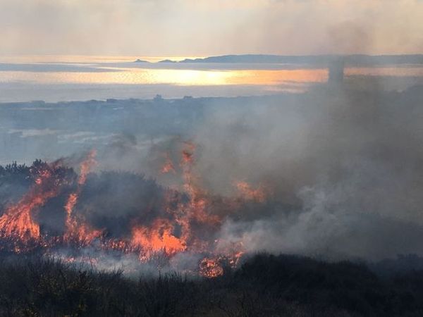 Snow watch part 4 - March is supposed to be spring right?