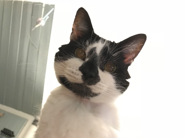 Harry's Results