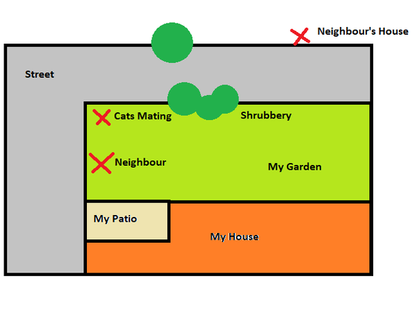Help! Creepy cat voyeur neighbour in my garden!