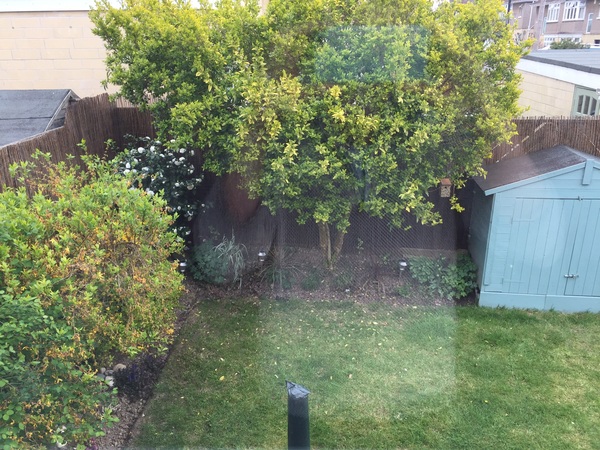 Please show me your small terrace house garden