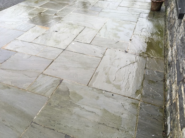 Does anyone have a light coloured sandstone patio?
