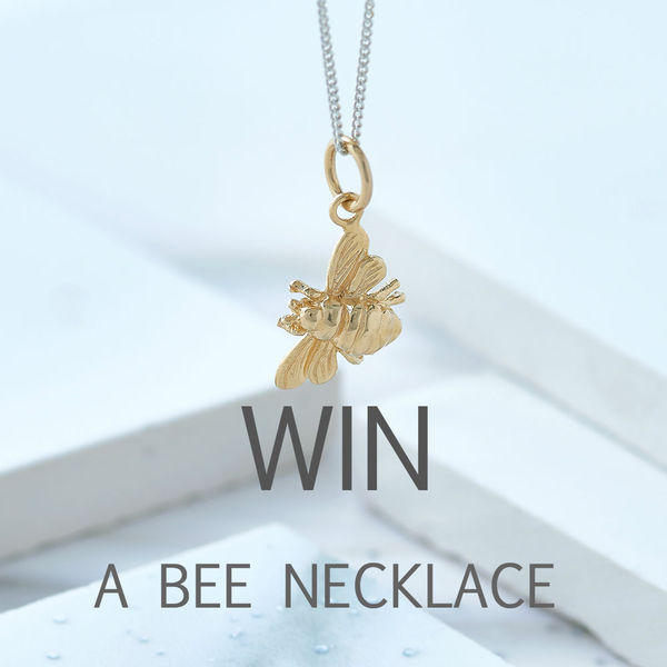 Win designer Bumblebee earrings worth £100!