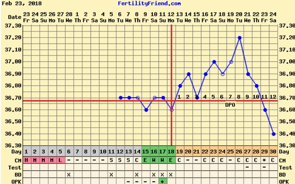 BBT experts out there? Massive temp drop