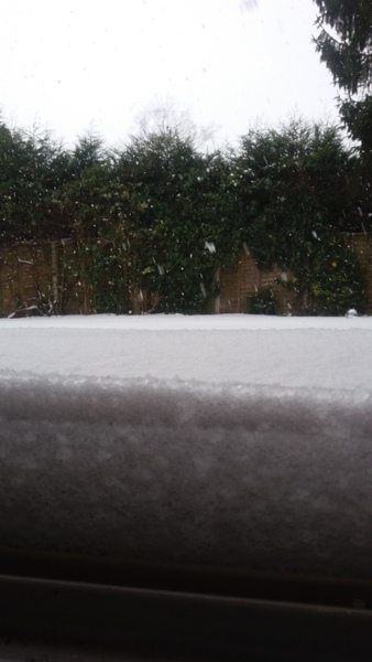 Snow watch part 4 - March is supposed to be spring right?