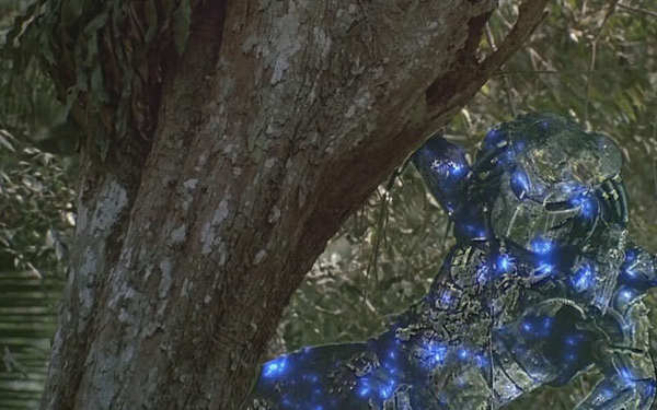TO ask what you can see in this picture?