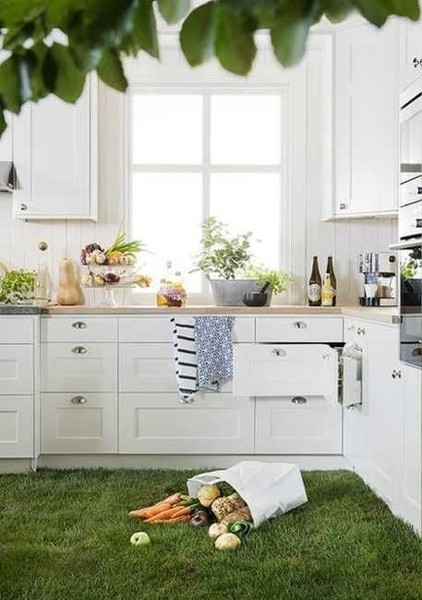 To consider indoor grass in living room?